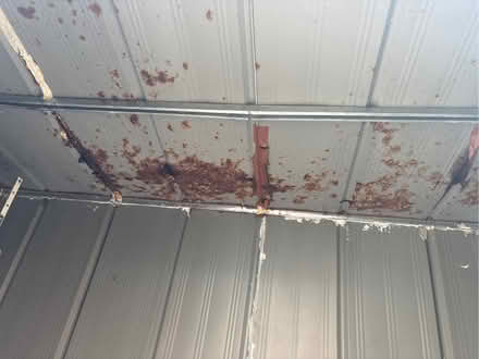 Photo of free Metal garden shed (Abingdon OX14) #4