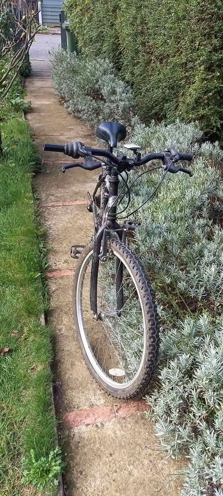 Photo of free Boys mountain bike (SE27) #2