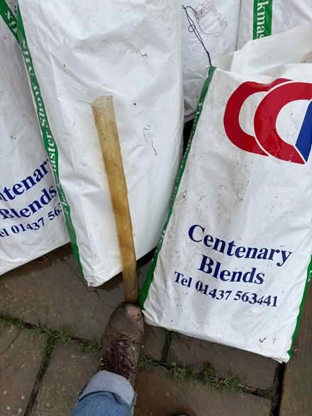 Photo of free Electric fence posts, hedge guards, tree guards (Bettws-y-crwyn LD7) #4