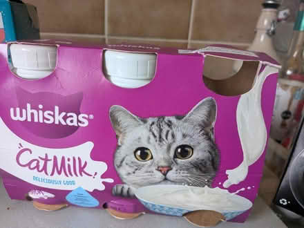 Photo of free Cat food (Howlands, AL7) #2