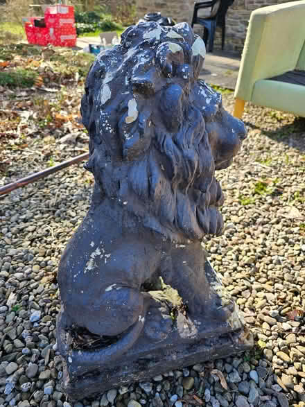 Photo of free Lion statue (Mortimers Cross HR6) #2