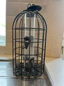 Photo of free Bird feeder (Caldecott OX14) #1