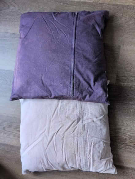 Photo of free Purple Cushions (Bowerham LA1) #2