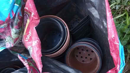 Photo of free Plastic plant pots (Wells Road) #2