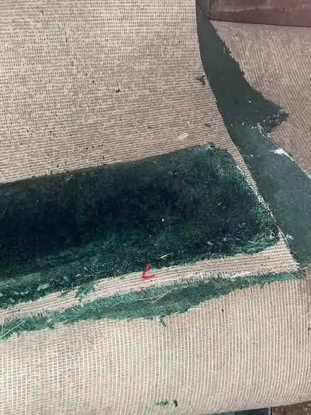 Photo of free Allotment owners, carpet if (Selsdon) #1