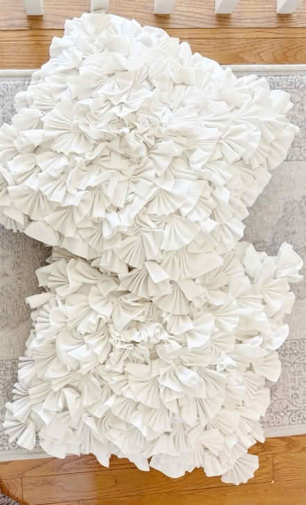 Photo of free pillows & covers (West Chester / West Goshen) #1