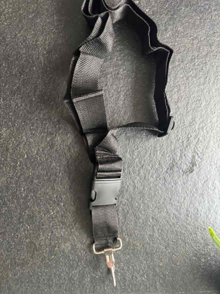Photo of free Black webbing strap (SE11) #1
