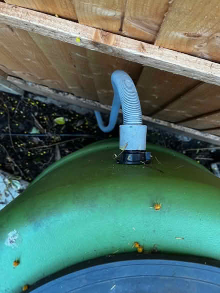 Photo of free Water tank (Shepherds Bush W14) #3