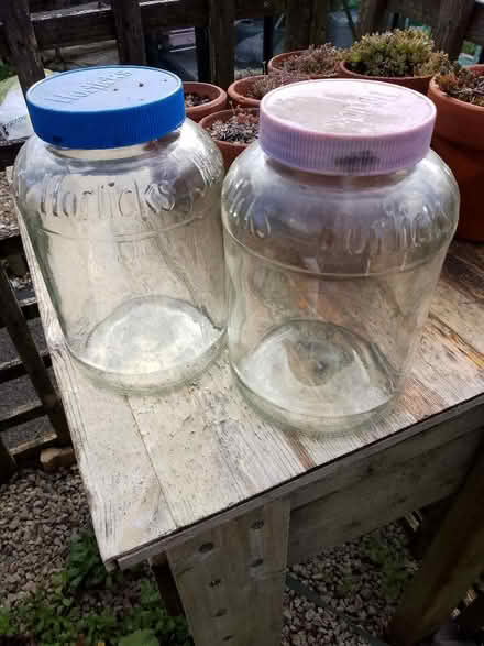 Photo of free Vintage Horlicks jars (Camborne TR14) #1