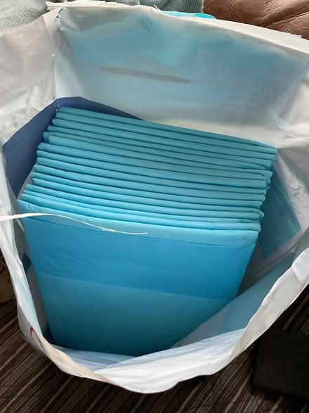 Photo of free Disposable bed pads, part pack (Whilton, near Daventry NN11 2) #2
