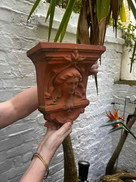 Photo of free wall hanging plant pot (Holland Park W11) #1