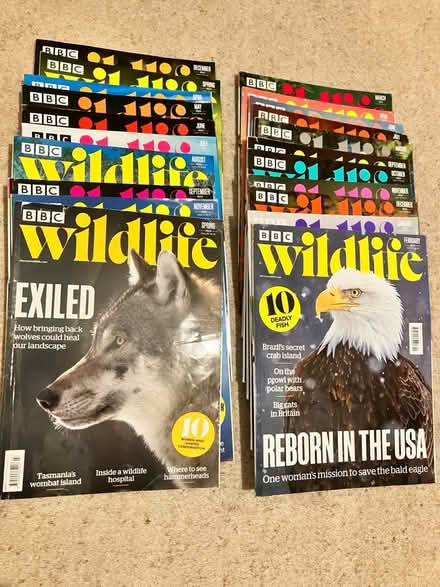 Photo of free BBC Wildlife magazines (Little Chalfont HP7) #1