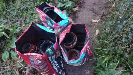 Photo of free Plastic plant pots (Wells Road) #4