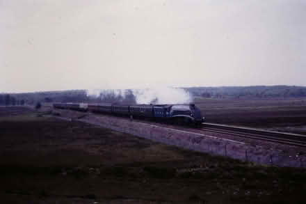 Photo of free Slide and Film Scanners (Riverhead TN13) #1