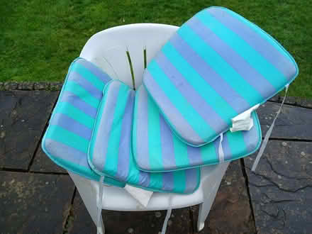 Photo of free Square outdoor chair cushions (West Bridgford NG2) #1