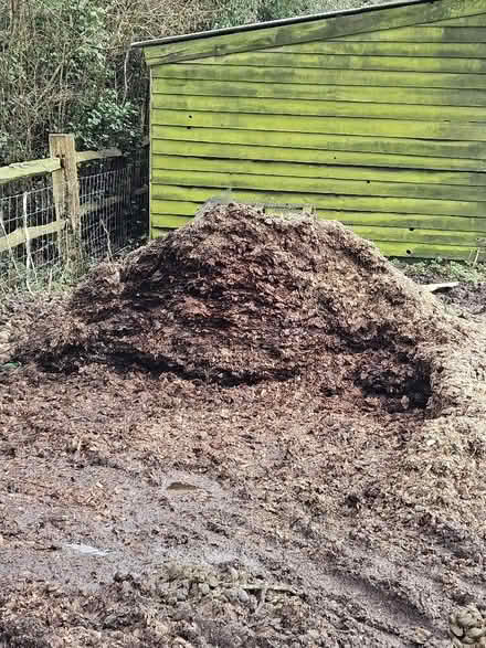 Photo of free Well rotted horse manure. (Battle TN33) #1