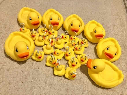 Photo of free Hook a duck (Little Chalfont HP7) #1