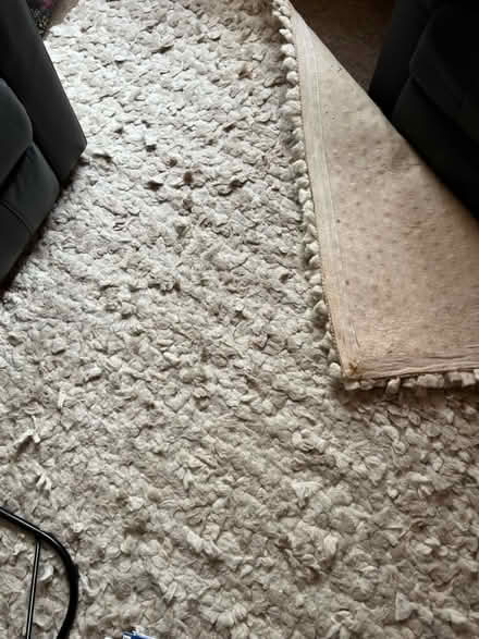 Photo of free Next 100% wool cream rug (IP2) #2