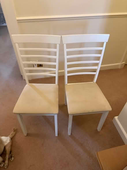Photo of free Amazon Chairs (W84pu) #1