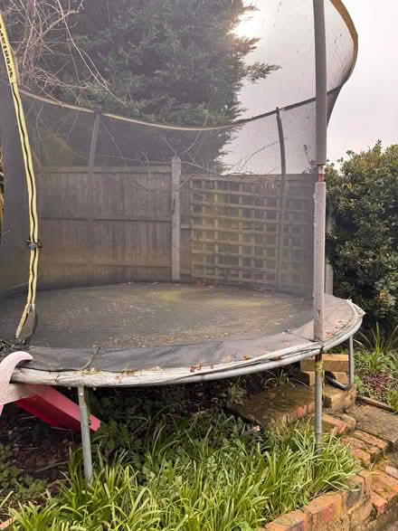 Photo of free Trampoline (Abbey Wood DA17) #3