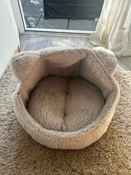 Photo of free Cat basket (Epsom) #1