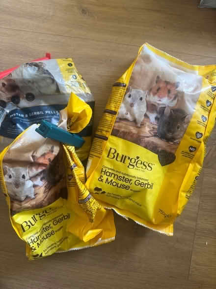 Photo of free Gerbil and hamster food (Lower Earley RG6) #1