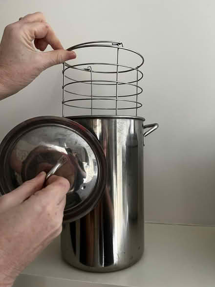 Photo of free fish kettle (Holland Park W11) #2