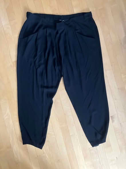 Photo of free Large silk pants Eileen Fisher (Crystal Beach) #1