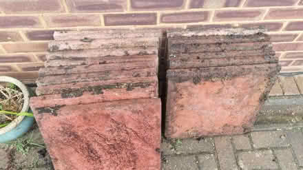 Photo of free Patio slabs (Letchworth Garden City) #2