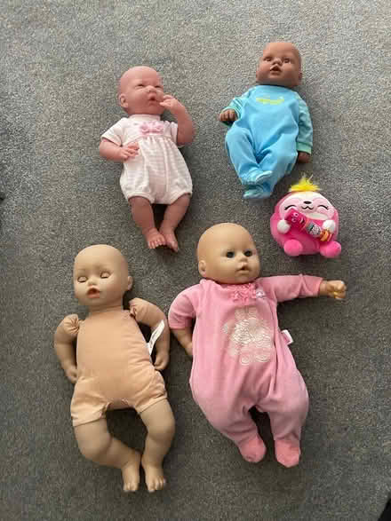 Photo of free Dolls (The Scotlands WV11) #1