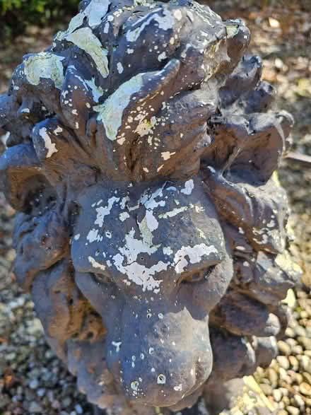 Photo of free Lion statue (Mortimers Cross HR6) #4