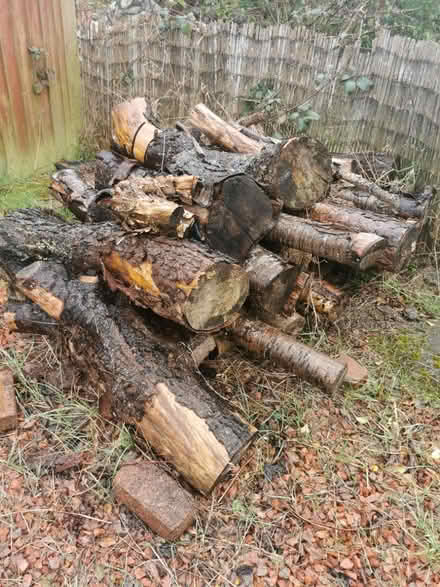 Photo of free Woods logs (10) #1