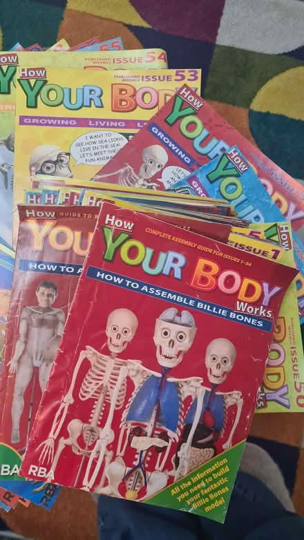 Photo of free Billie bones model (Tottenham N17) #2