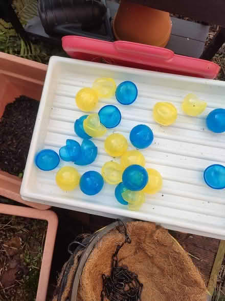 Photo of free Reusable water bombs (Central Preston PR1) #1