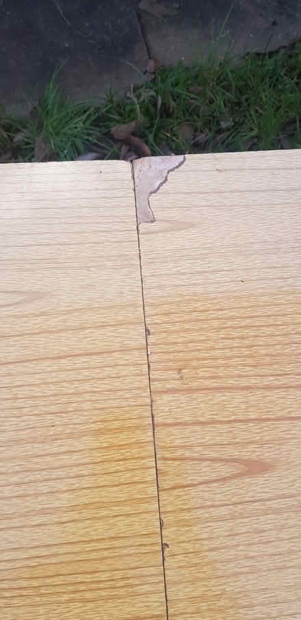 Photo of free Decorating Pasting Table - Folding (Uckfield, Ringles Cross TN22) #3