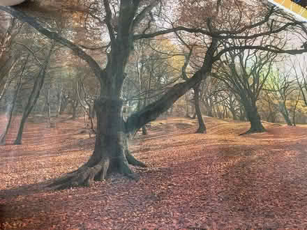 Photo of free Posters (OX2 North Oxford) #1