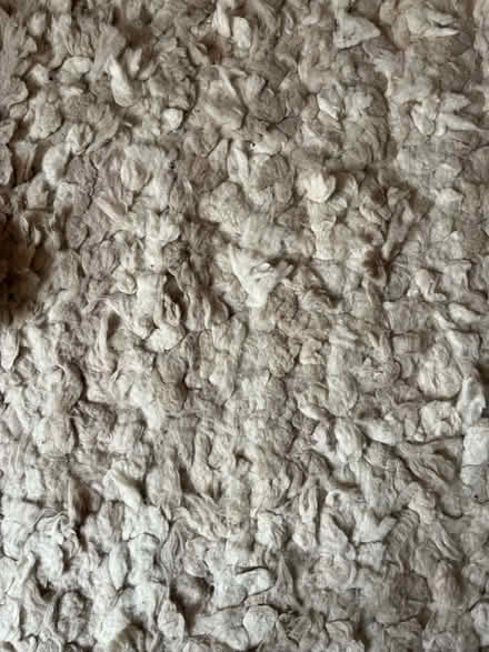 Photo of free Next 100% wool cream rug (IP2) #3