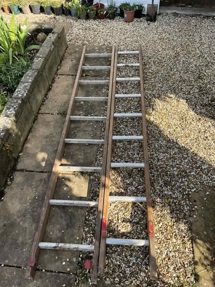 Photo of free ladders (Aldwick) #1