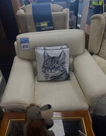 Photo of free Cream leather armchair& black cover (St Leonard’s TN38) #1