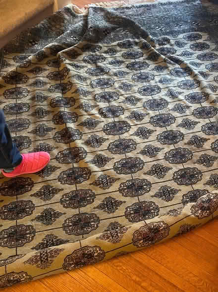 Photo of free Large Bokhara-style Rug (Downtown) #1