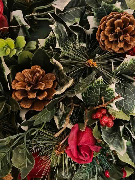 Photo of free Fake flowers and foliage (North Shields NE30) #1