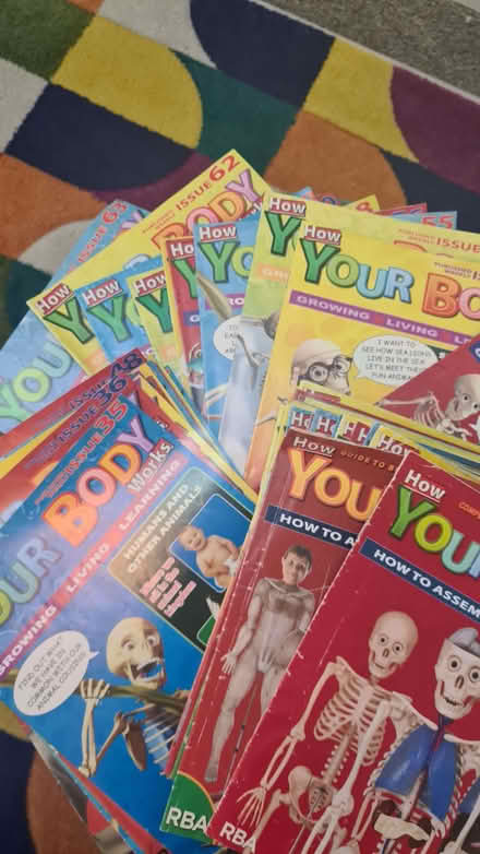 Photo of free Billie bones model (Tottenham N17) #1