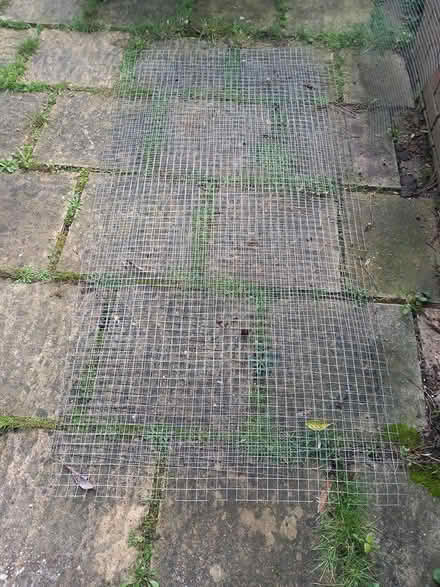 Photo of free 3 Sections of galvanised wire mesh (CO4 Highwoods) #1