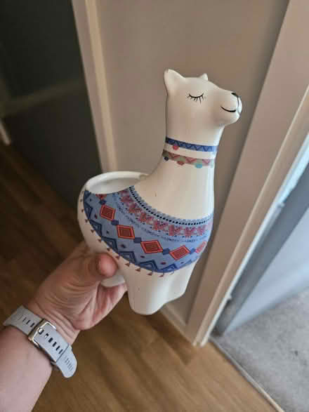 Photo of free Pot (Slough central SL1) #1