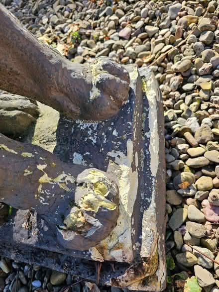 Photo of free Lion statue (Mortimers Cross HR6) #3