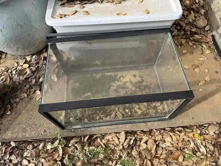 Photo of free Three Terrariums (San Anselmo) #2