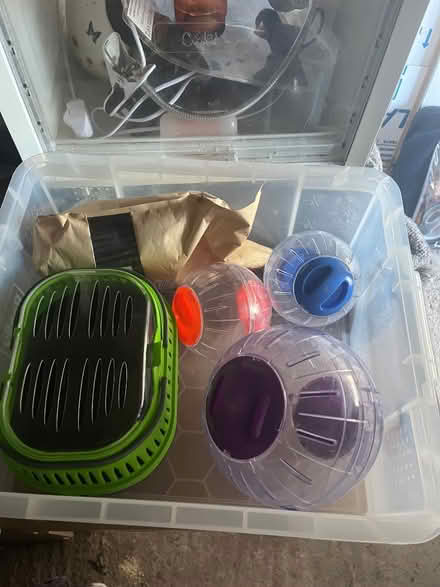 Photo of free Hamster stuff (Fairfield Park) #2