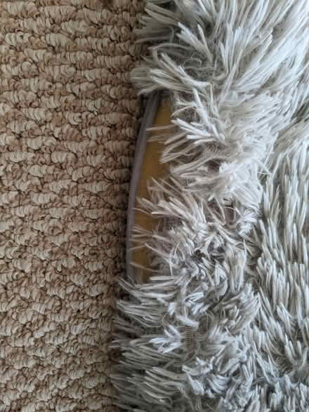 Photo of free 5x7 light gray and white rug (South Berkeley/North Oakland) #1