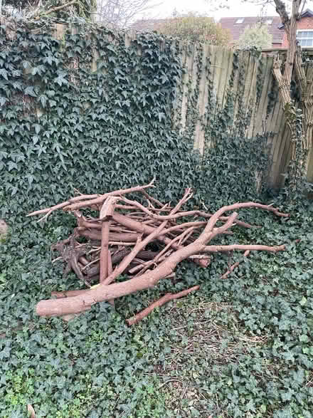 Photo of free Seasoned Wood (Woodley RG5) #1