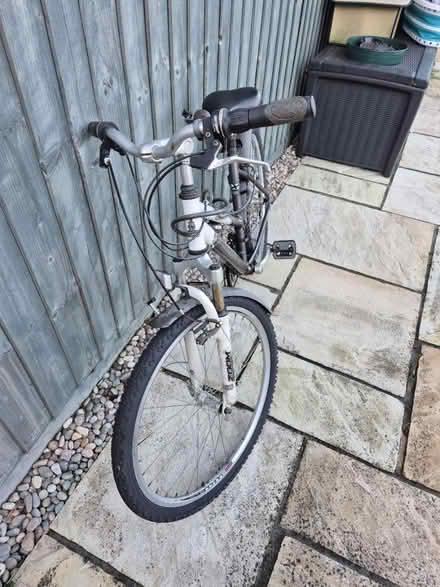 Photo of free Ladies Raleigh mountain bike (Swindon SN2) #2